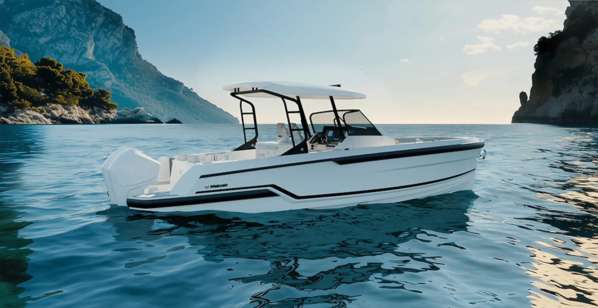 WELLCRAFT 28 T-Top Sport