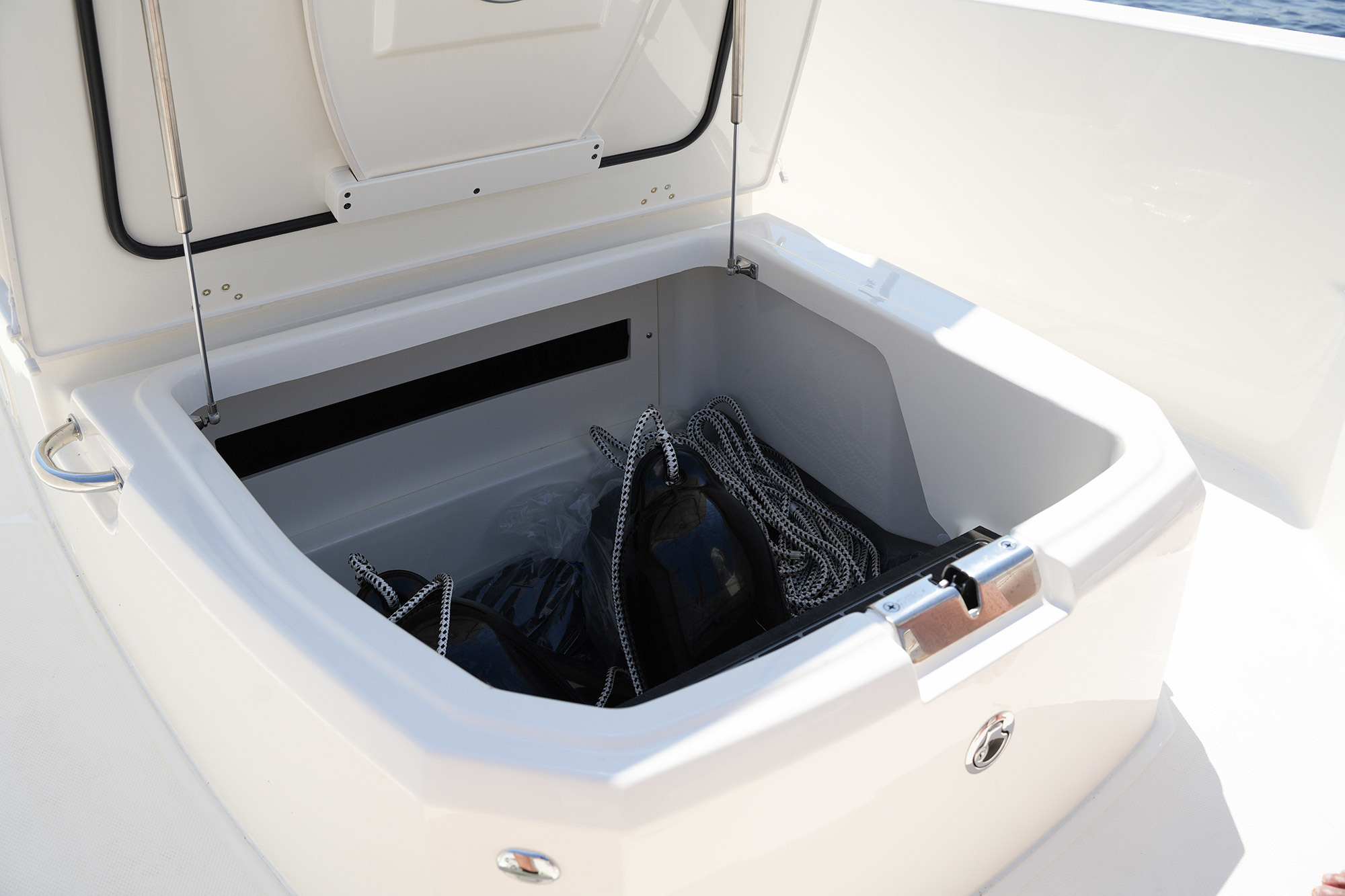 Boston Whaler 250 Dauntless