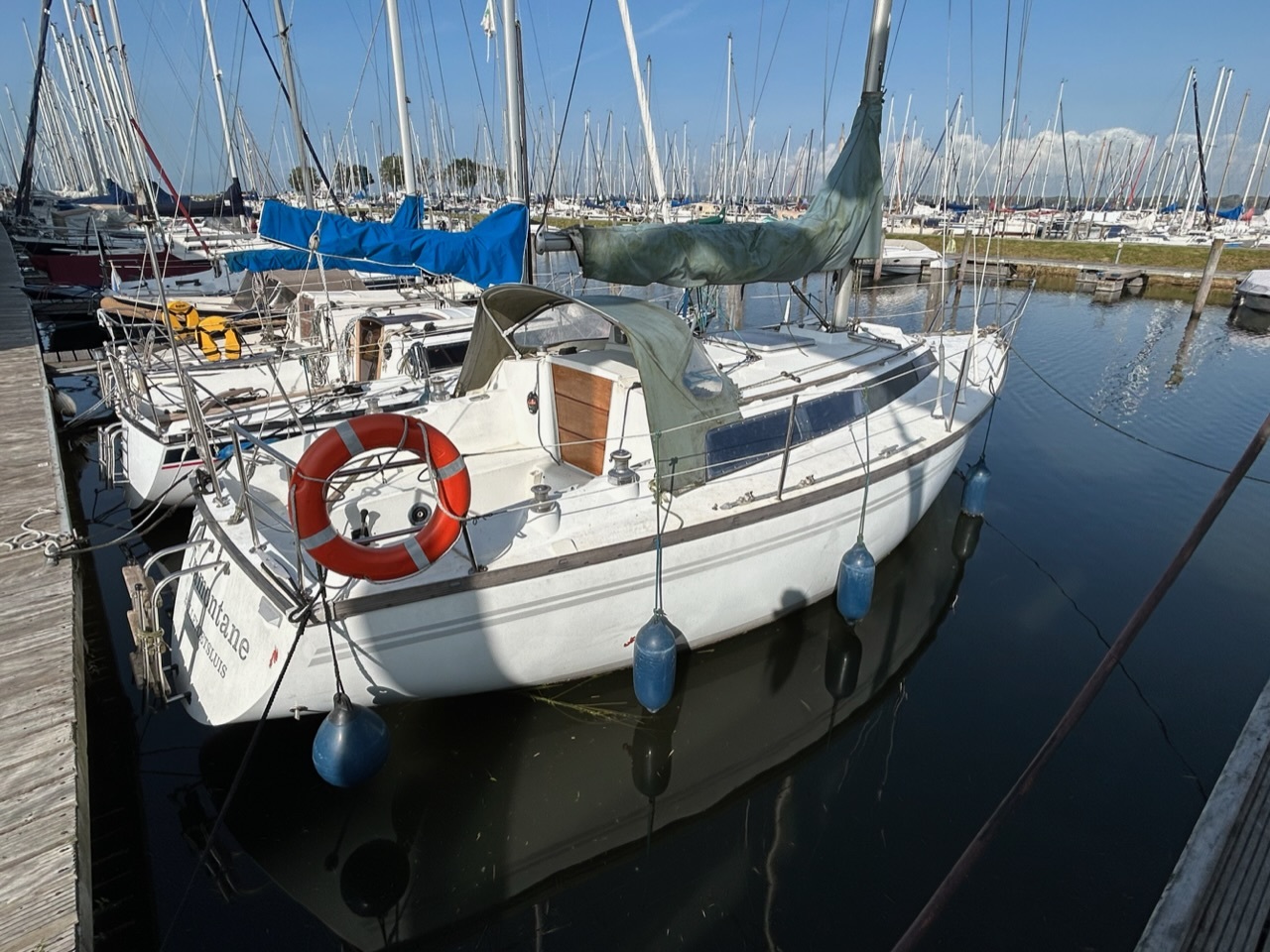Dufour 31