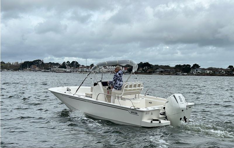 Boston Whaler 210 Montauk