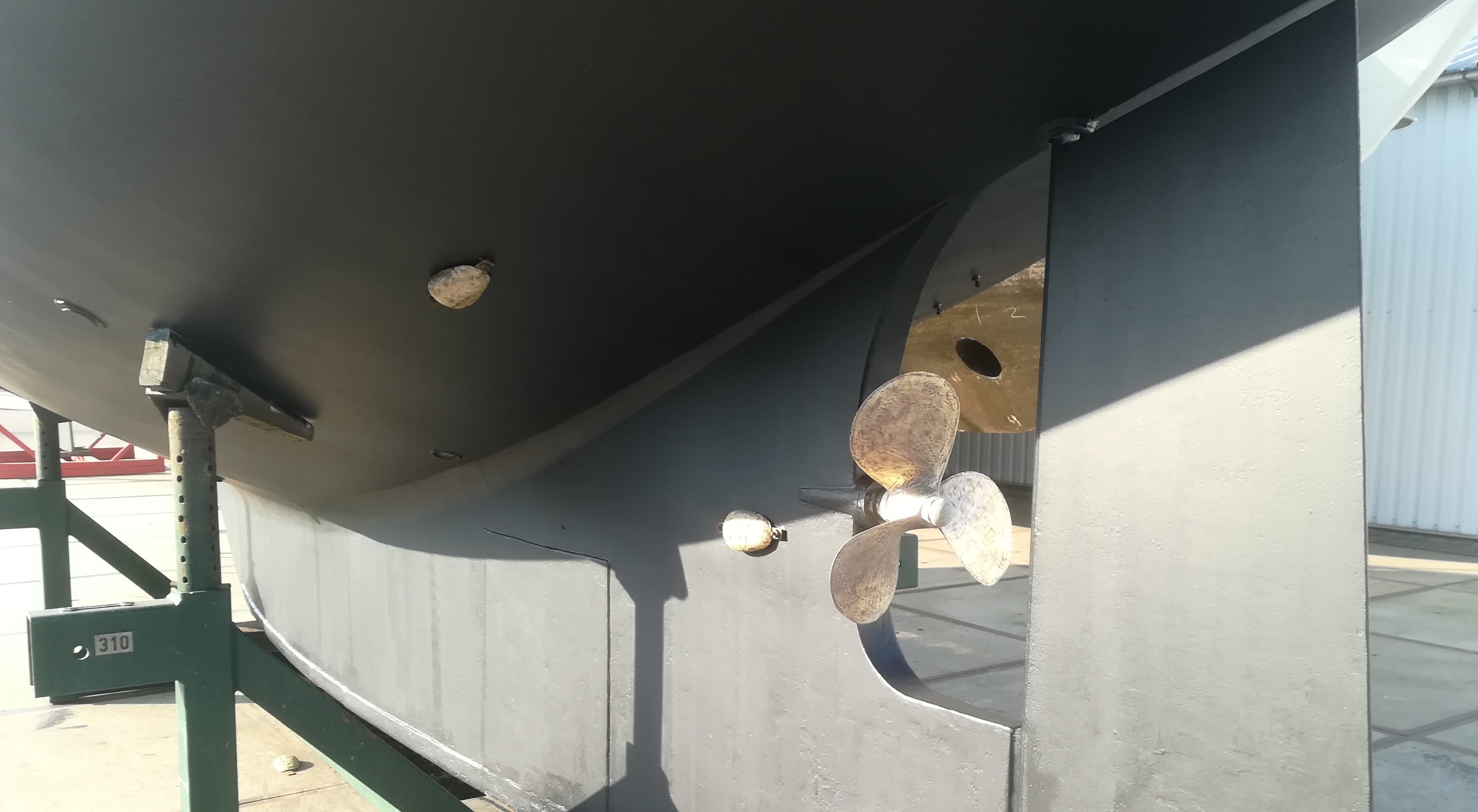 Pieter Beeldsnijder One Off