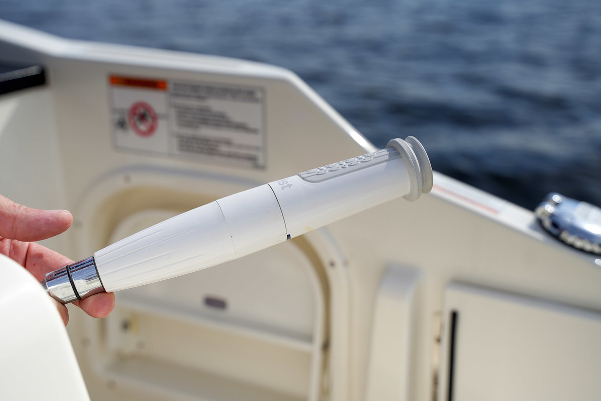 Sea Ray SDX 290 Outboard