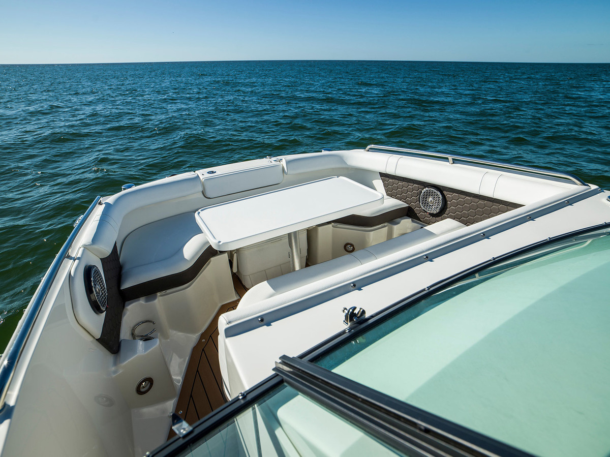 Sea Ray SDX 250