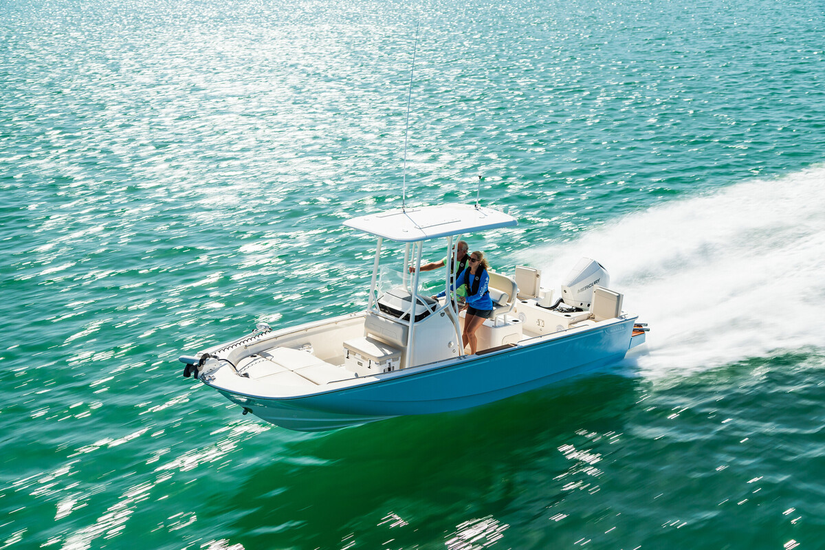 Boston Whaler 210 Montauk