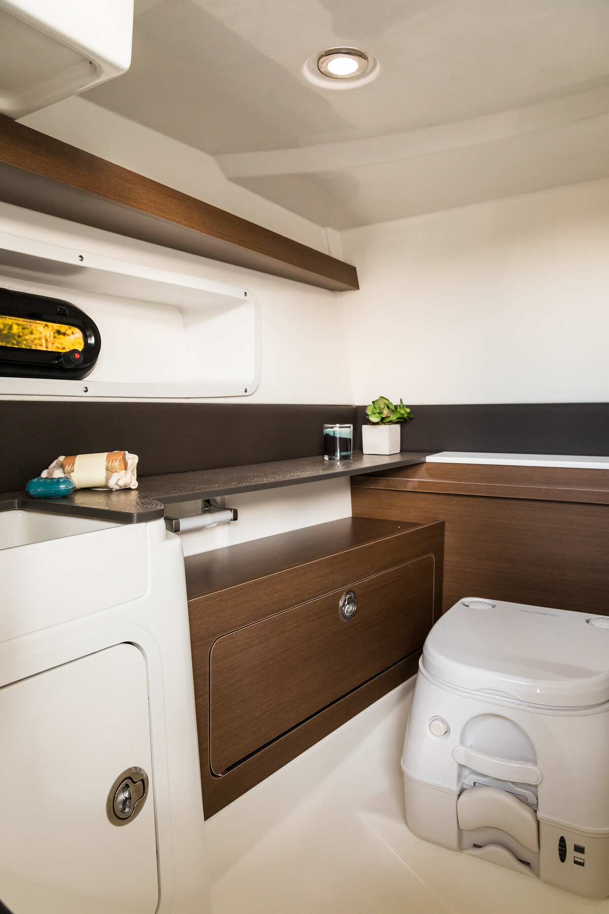 Sea Ray SDX 290