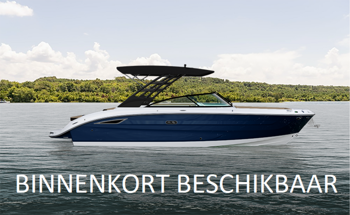 Sea Ray SDX 270 Surf hoofdfoto: 1