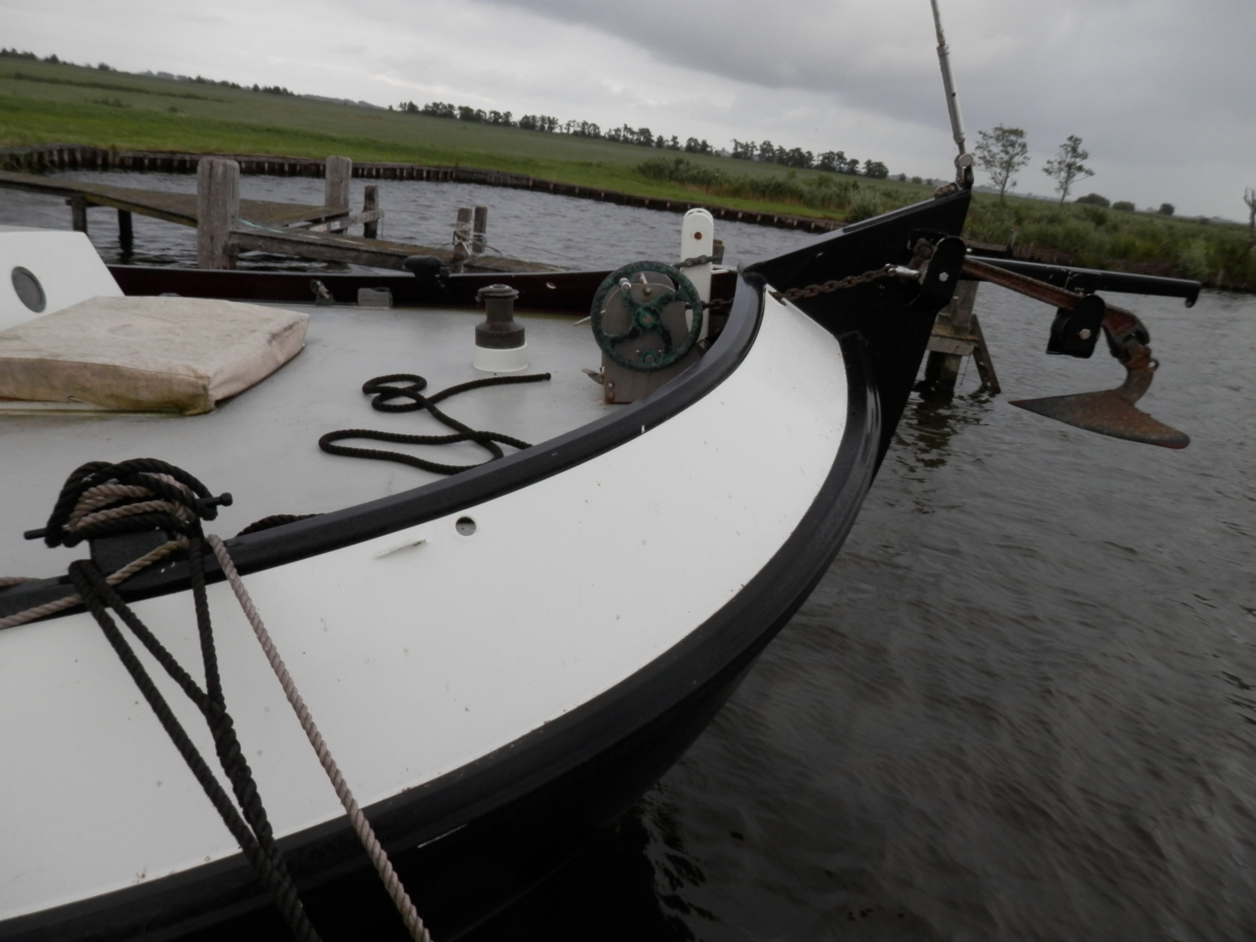 Blom Lemsteraak Roefaak 12.10