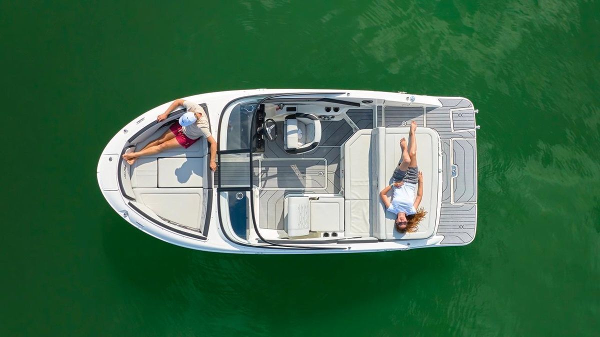 Sea Ray SPX 190 New Model 2025
