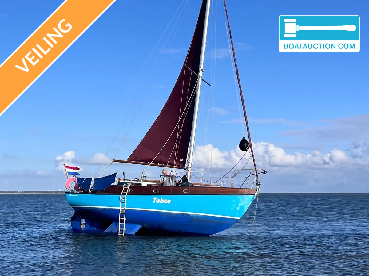 Rossiter Pintail 27 nu in de online veiling.