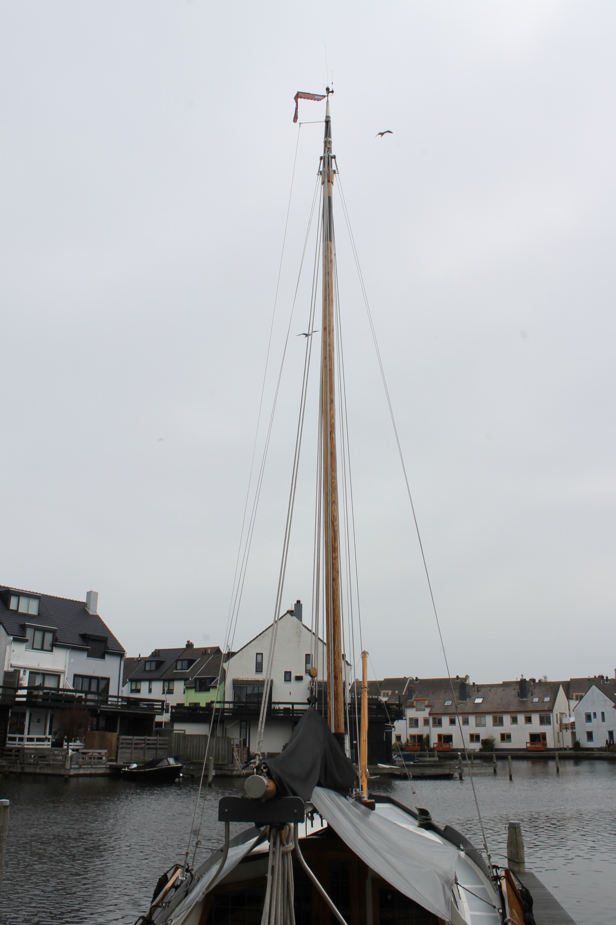 Zeeschouw Van Twillert 10.00