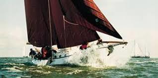 Blom Lemsteraak Roefaak 12.10