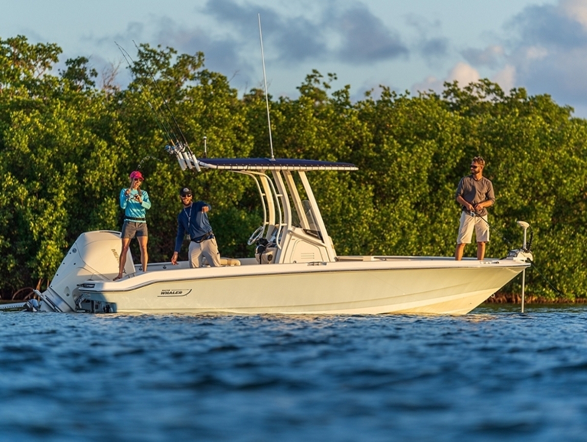 Boston Whaler 220 Dauntless