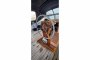Hallberg Rassy - 41 