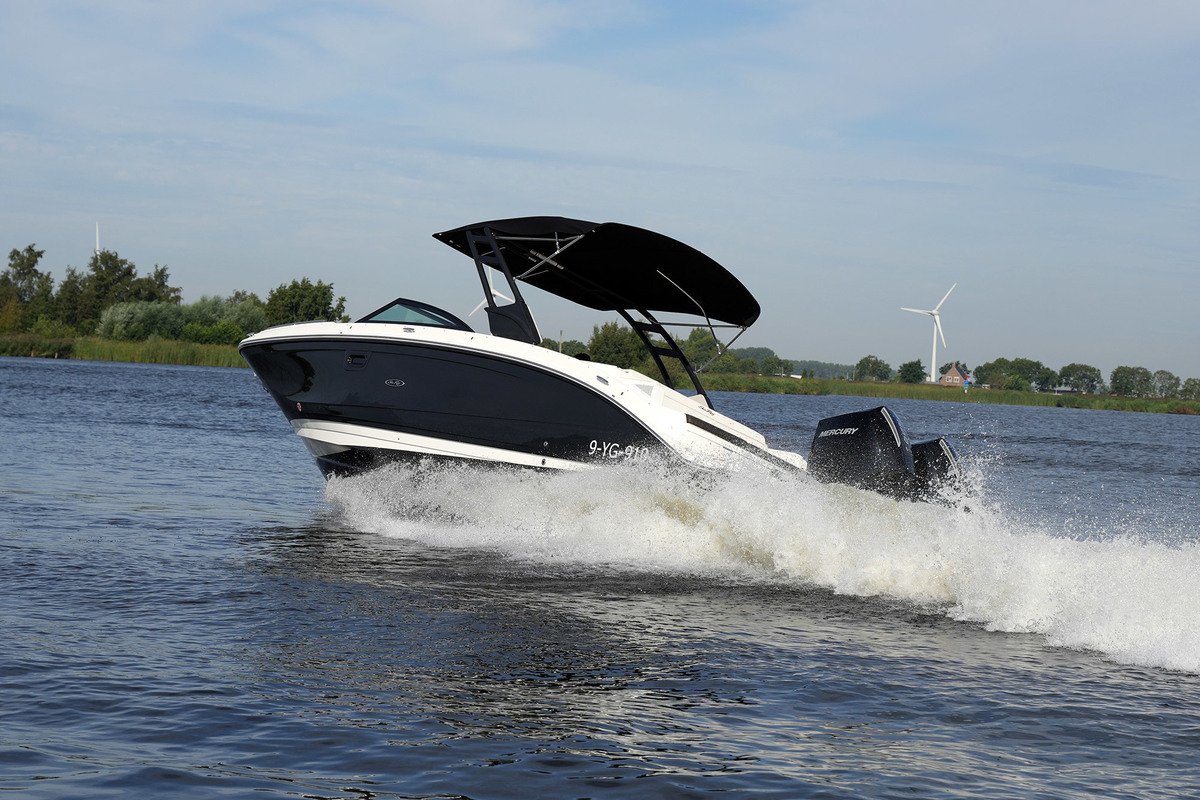 Sea Ray SDX 290 Outboard