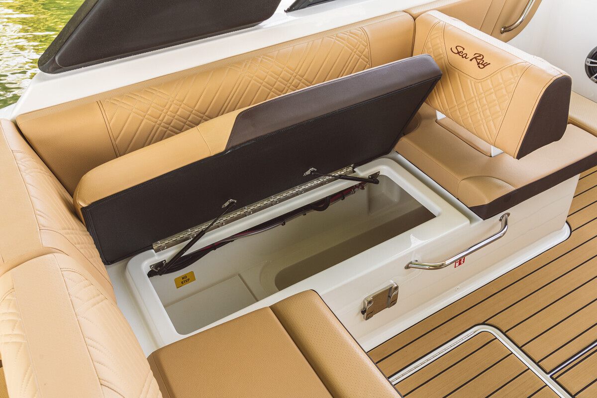 Sea Ray SDX 230