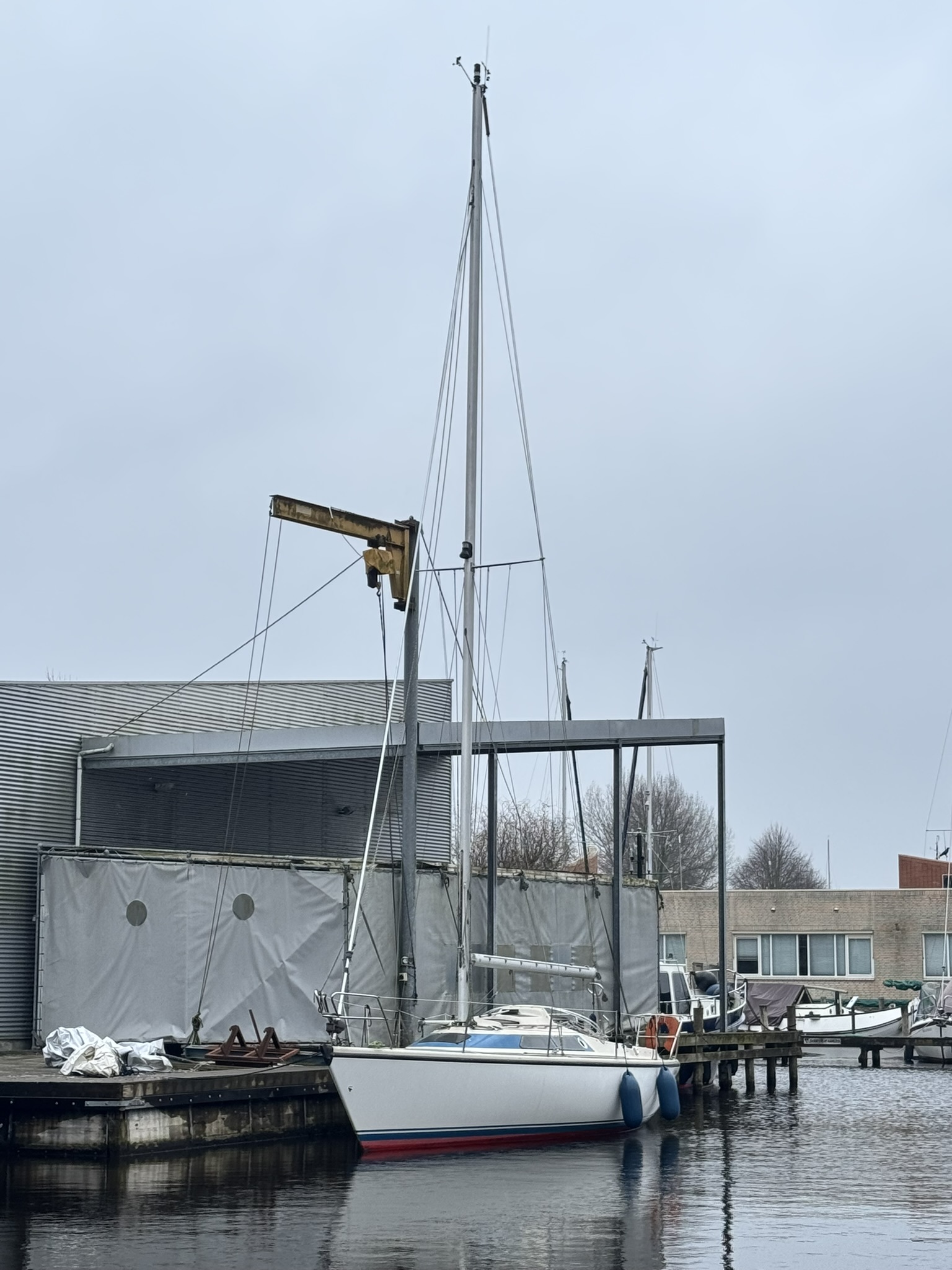 Dehler Optima 101 hoofdfoto: 1