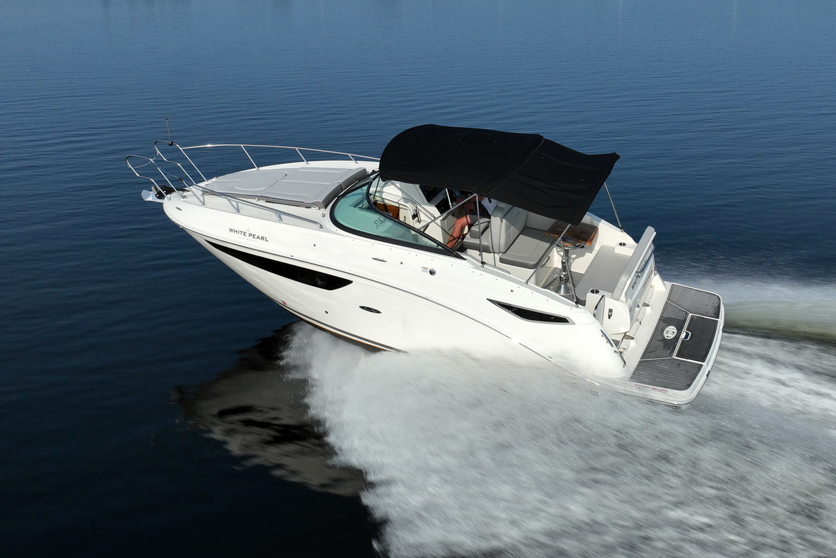 Sea Ray 265