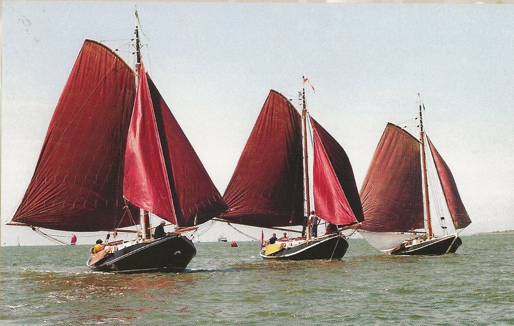 Hoogaars - Platbodem 10.00