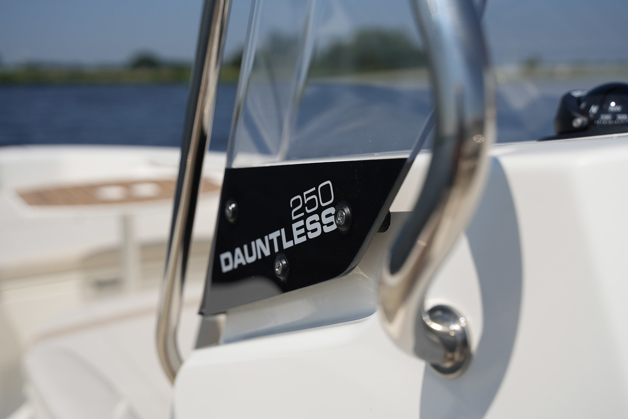 Boston Whaler 250 Dauntless