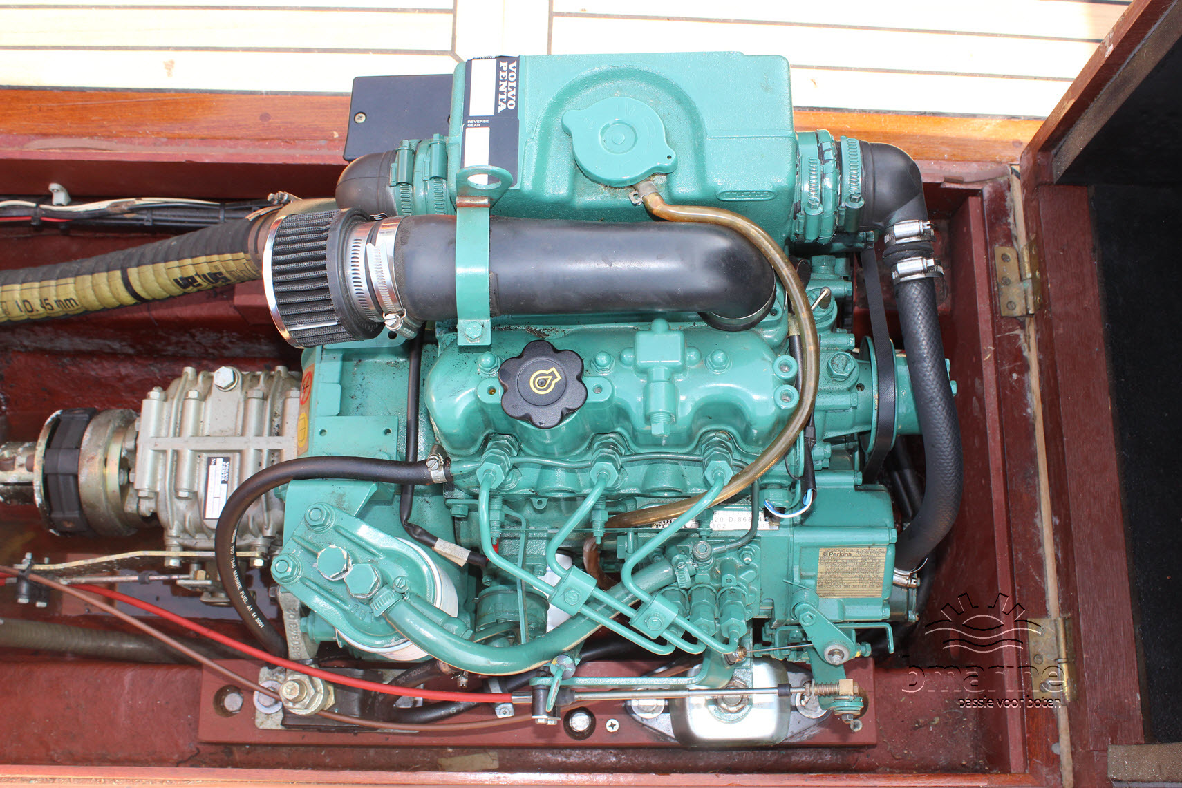 Wester Engh Golden Horn 685