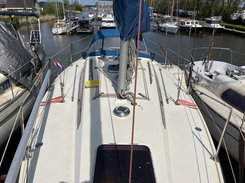 Sunwind 31