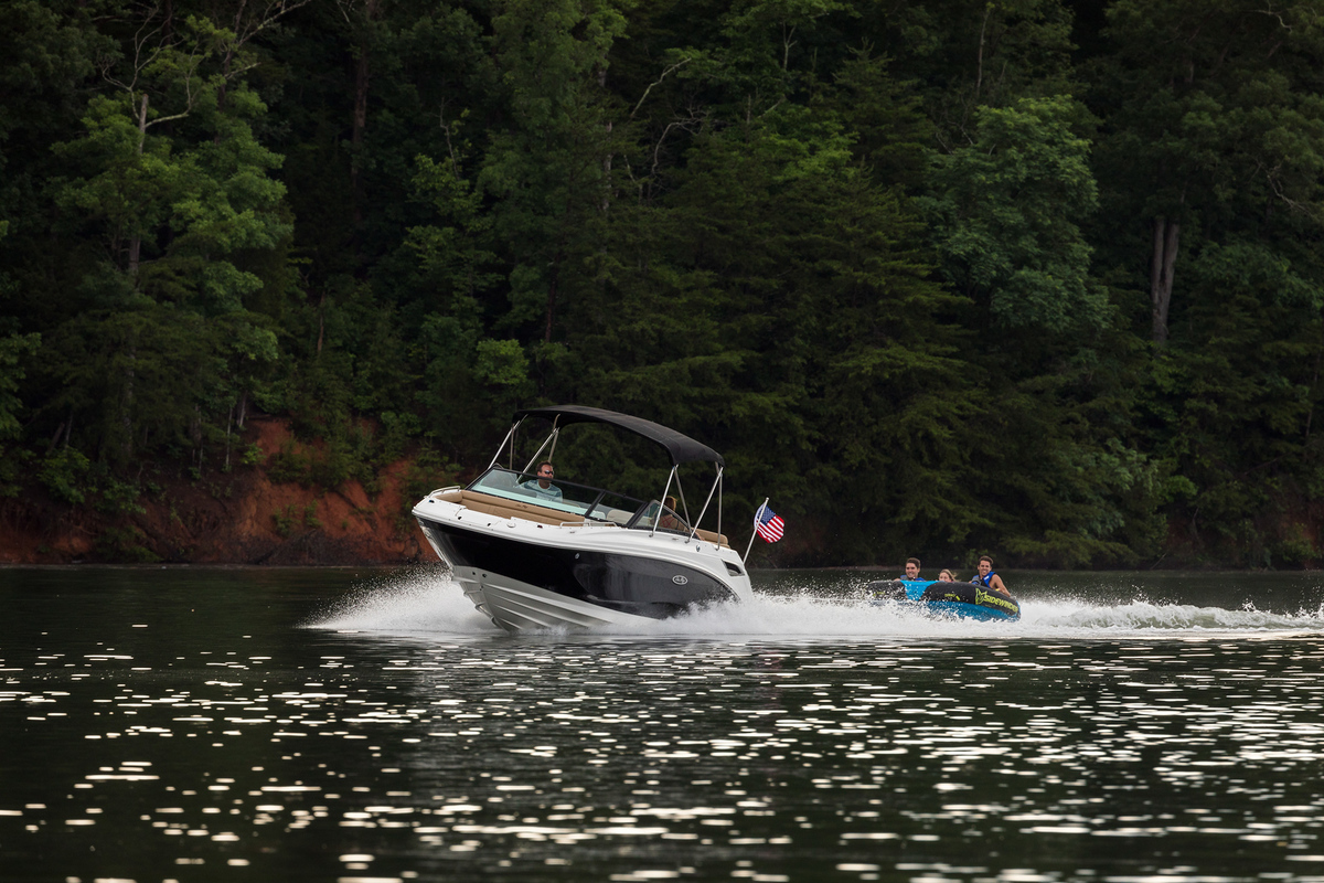 Sea Ray SDX 250