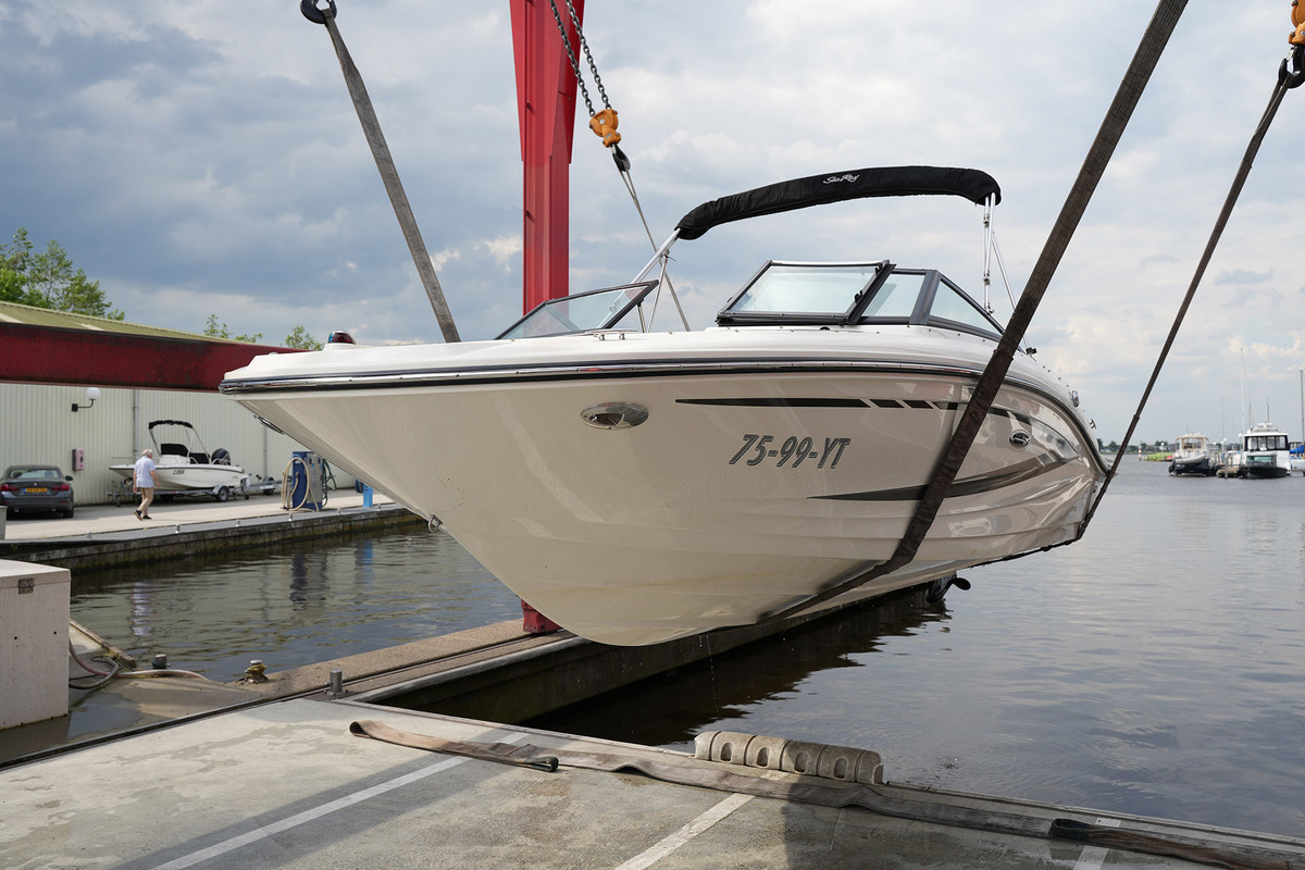 Sea Ray 19 SPX