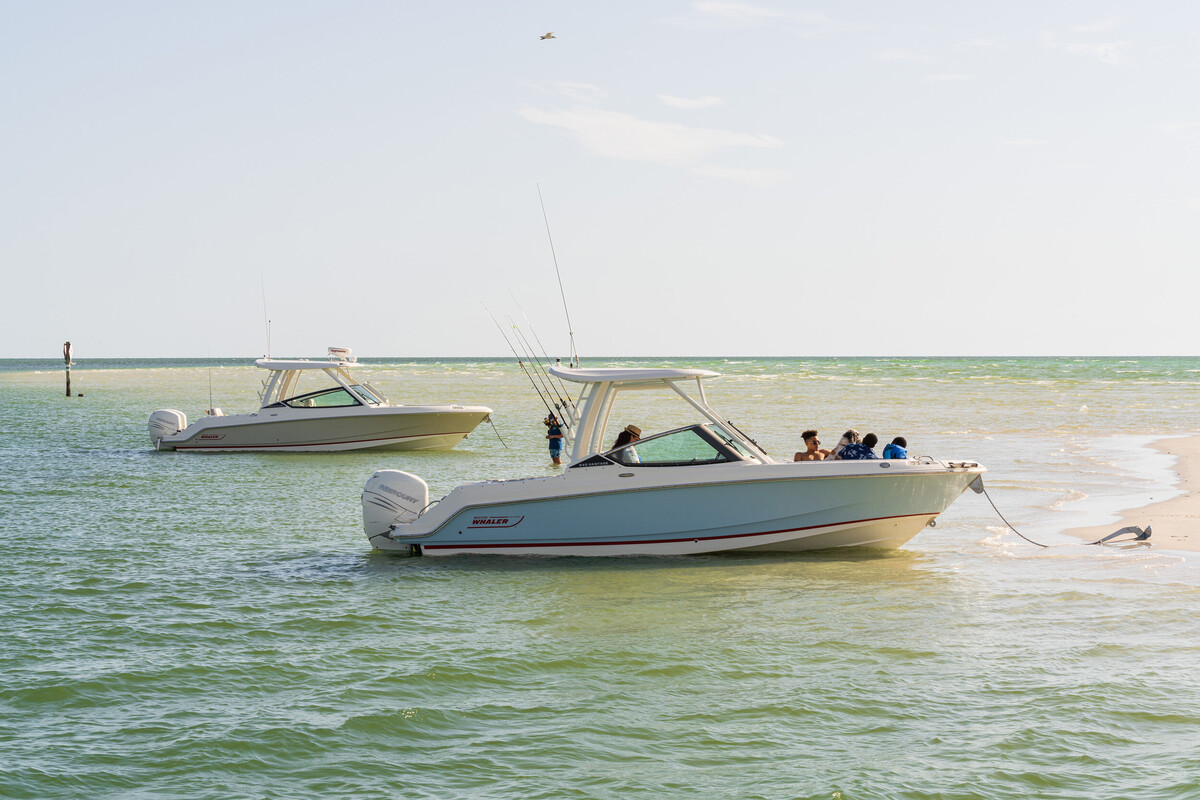 Boston Whaler 240 Vantage