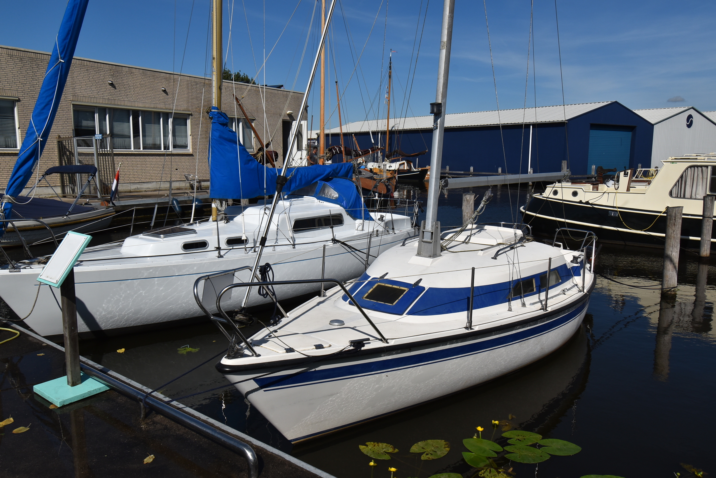 Ypton 22