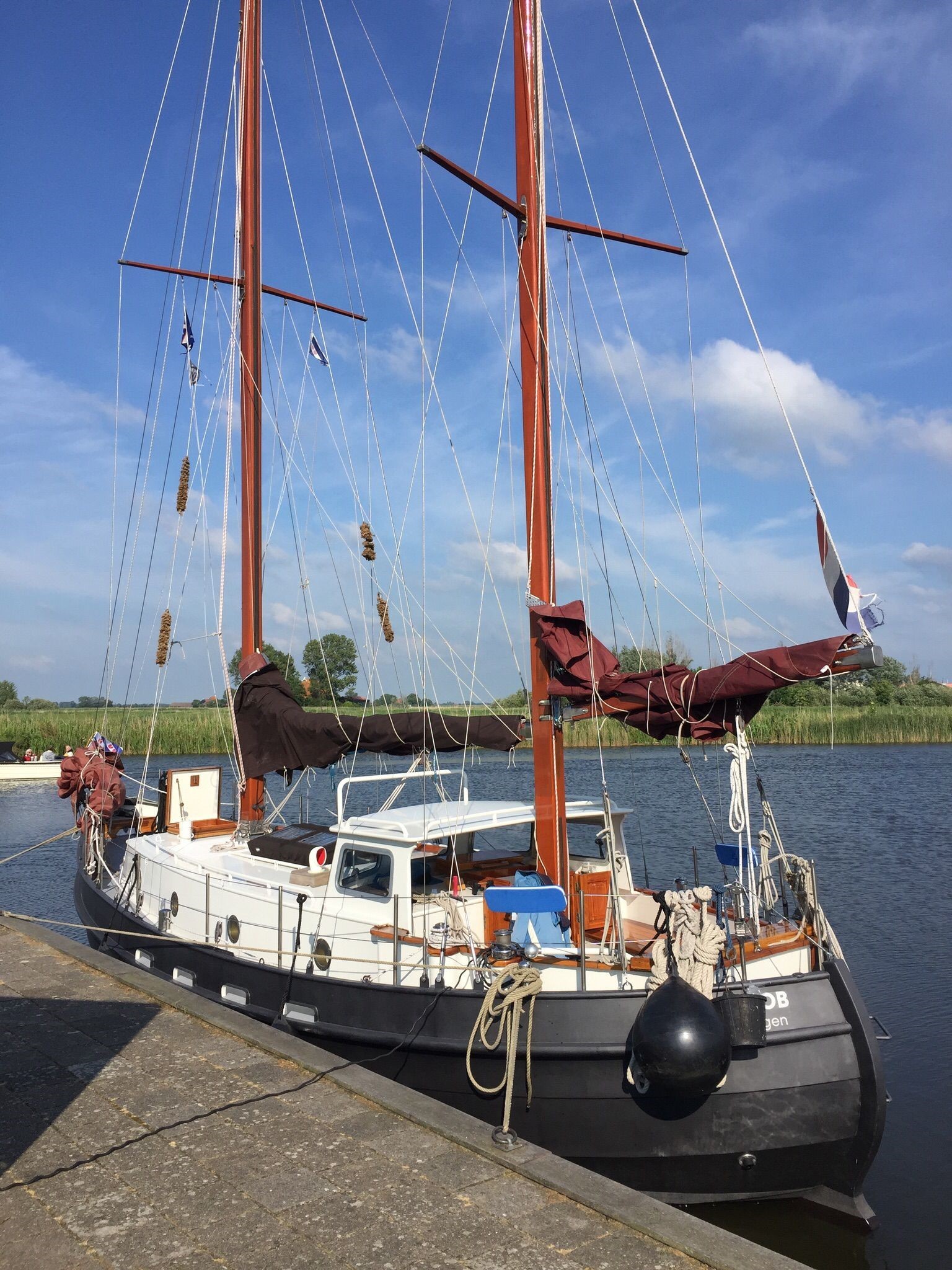 Danish Rose 31