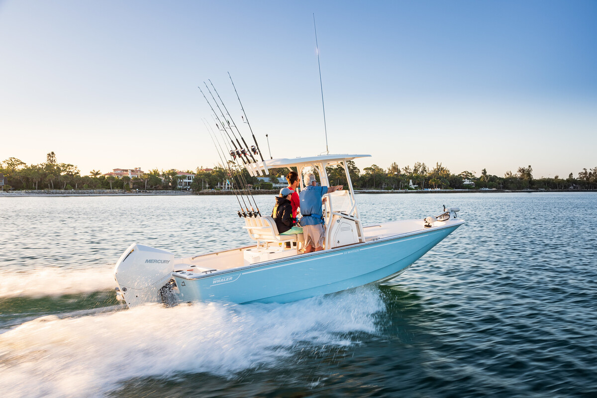 Boston Whaler 210 Montauk