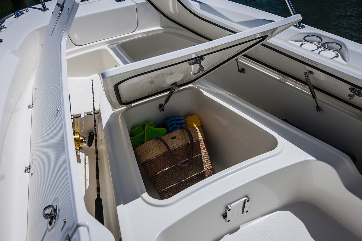 Boston Whaler 250 Dauntless
