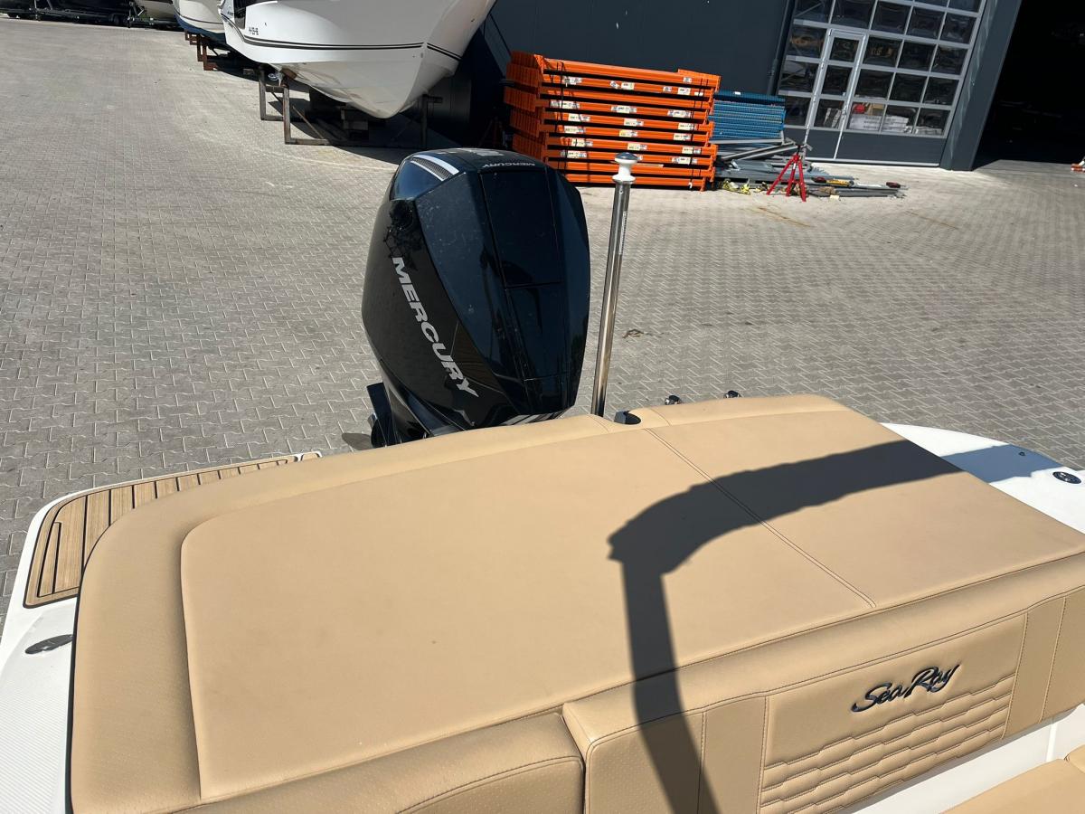 Sea Ray 210 SPX Outboard