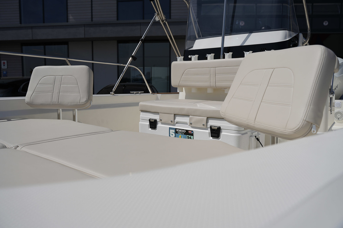 Boston Whaler 210 Montauk