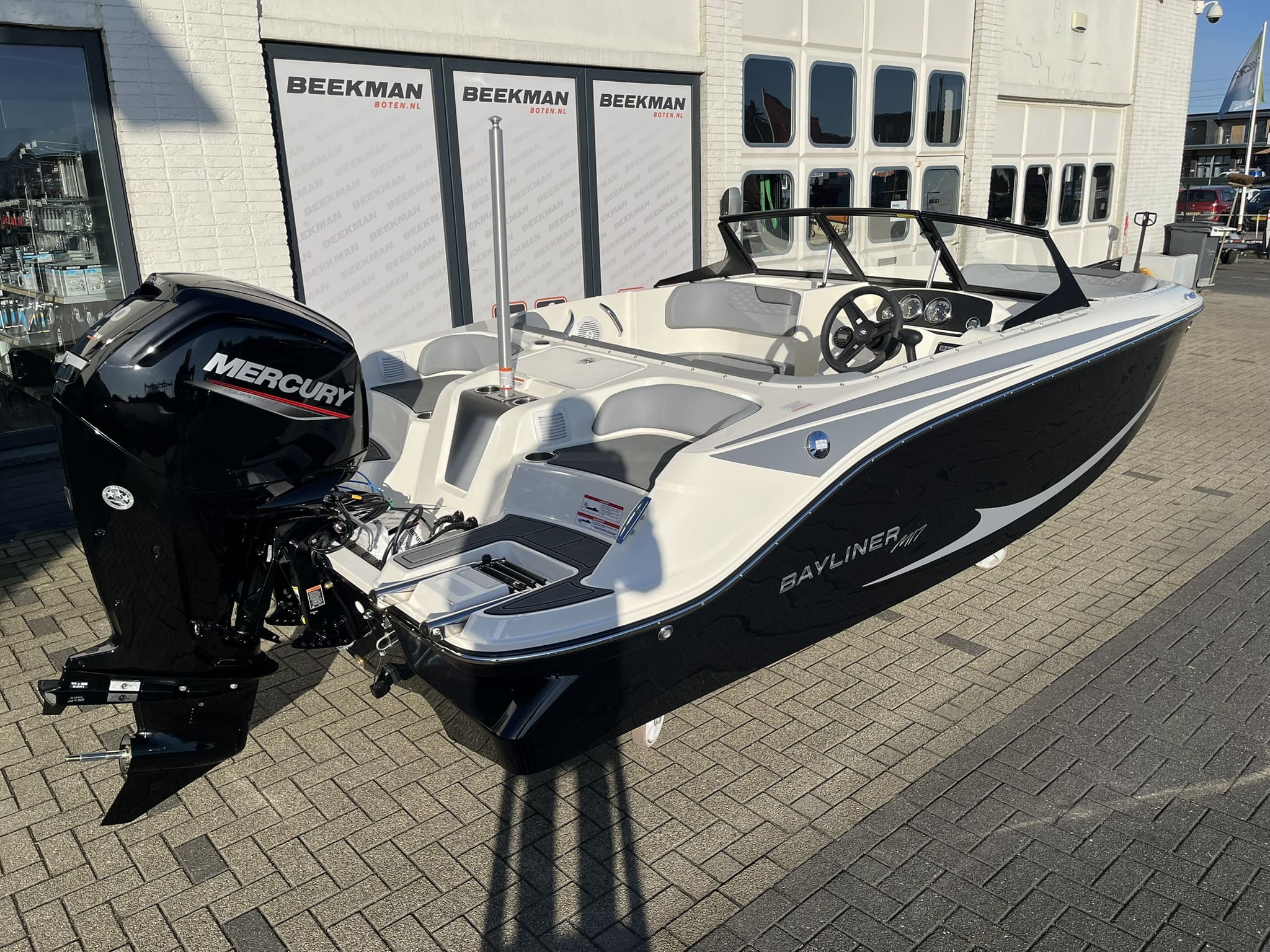 Bayliner Element M17