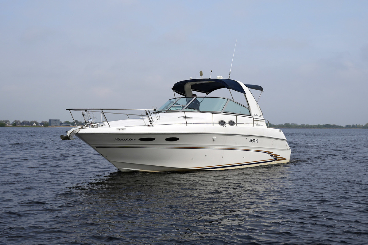 Sea Ray 310 Sundancer