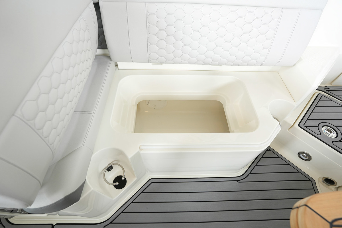 Sea Ray SDX 250