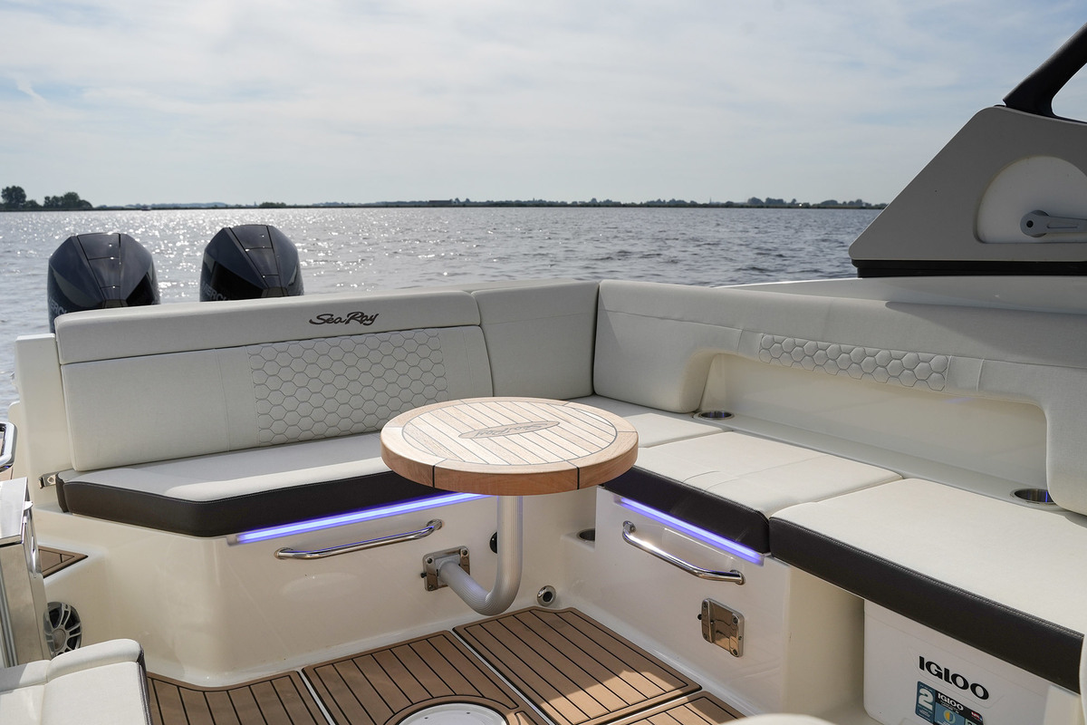 Sea Ray SDX 290 Outboard