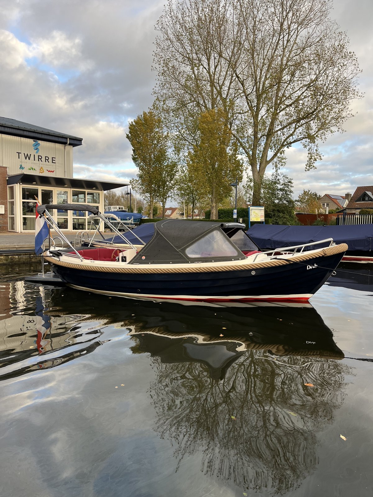 Zarro Excellent 6.50 