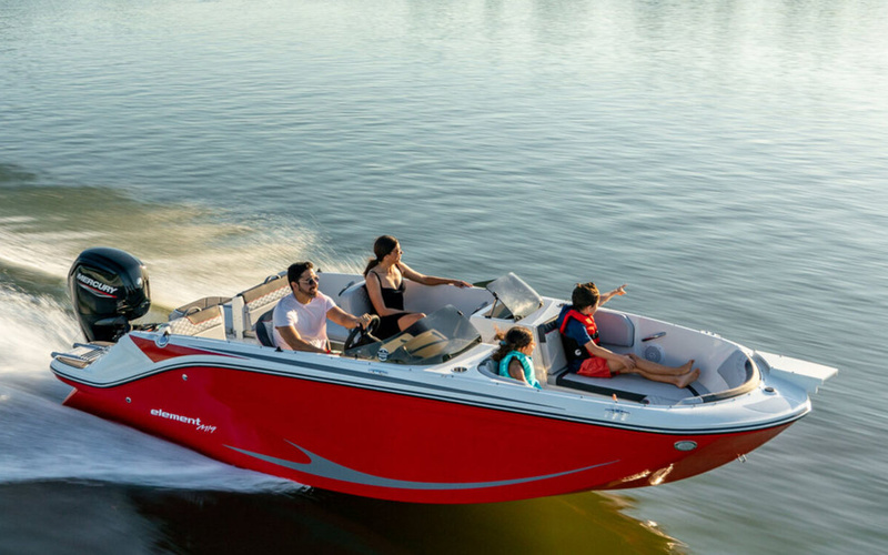 Bayliner M19