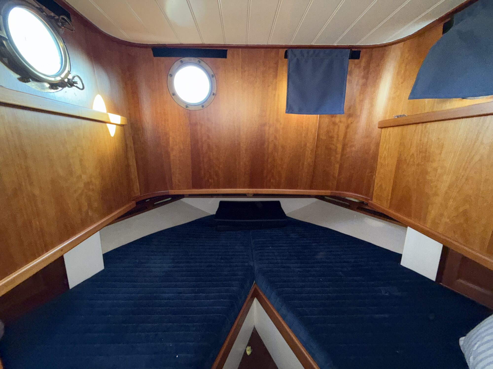 Noordzeekotter ‘WR 134’