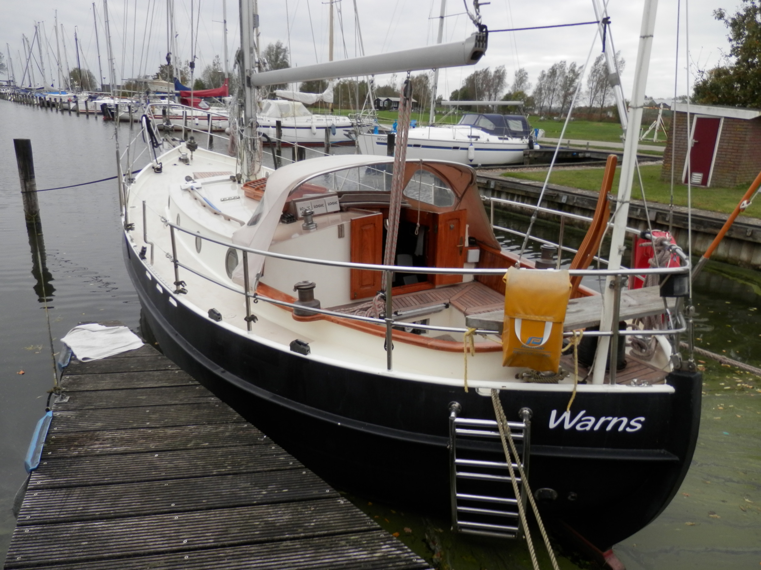 Danish Rose 31