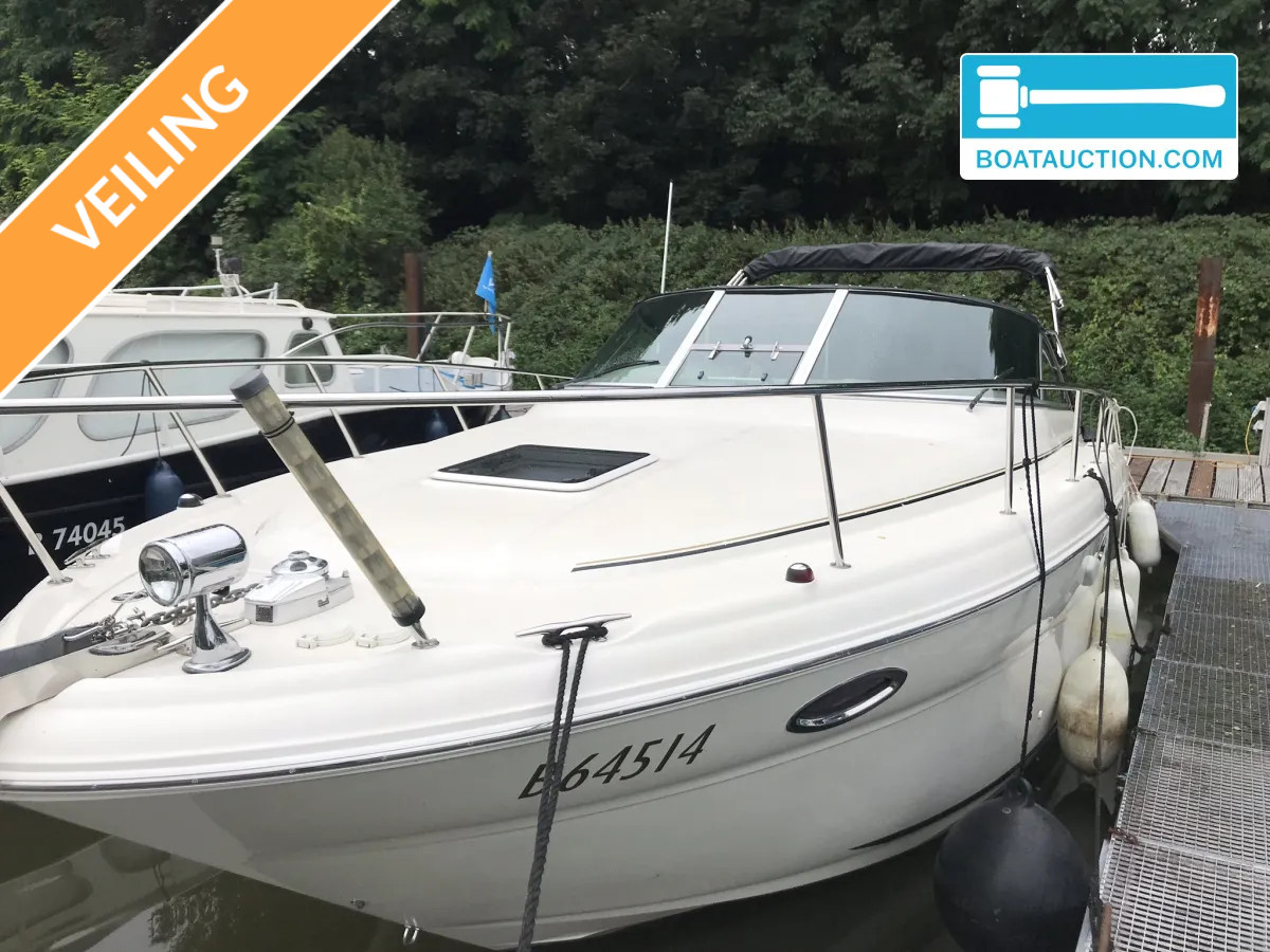 Sea Ray Amberjack 315 nu in de online veiling.