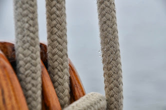 Platbodem Melkschouw